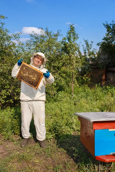 Imker mit Bienenwaben im Bienenhaus — Stockfoto