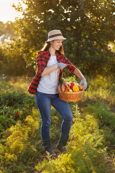 Жінка з кошиком з овочів — стокове фото