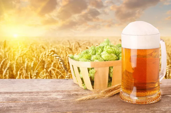 Mug of beer against wheat field — Stock Photo, Image
