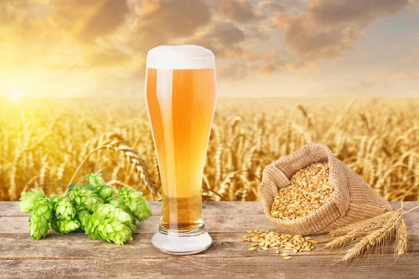 Glass of beer with field — Stock Photo, Image