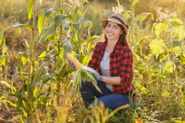 mutlu kadın bahçıvan mısır mısır koçanı ile