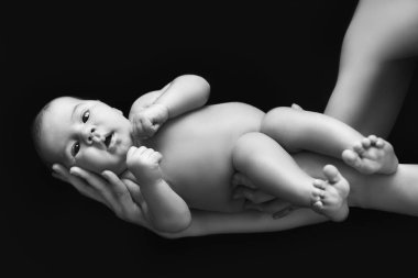 black and white photo of newborn baby clipart