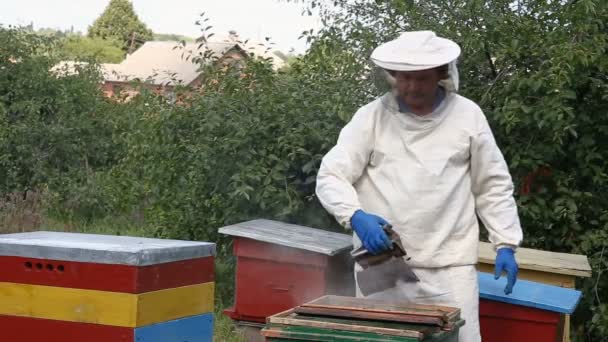 养蜂人检查蜂窝 — 图库视频影像