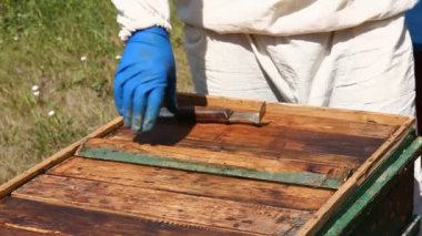 Petek teftiş arıcı