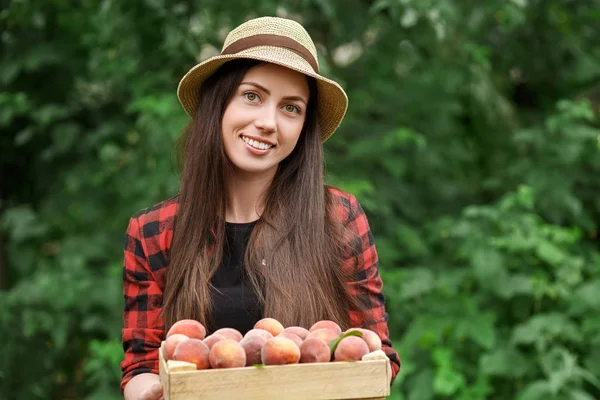 Жінка садівник тримає персики — стокове фото