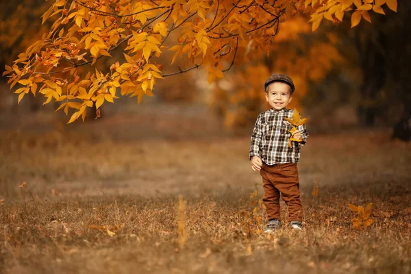 Autumn portrait of happy little boy — Stock Photo, Image