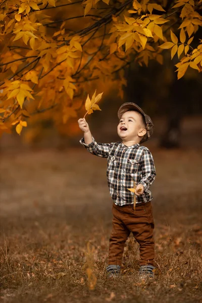 Outono retrato de menino feliz — Fotografia de Stock