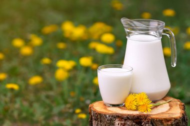 Süt bardakta, karahindiba arkaplanda.