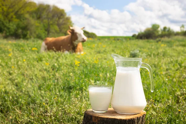 Milch mit Kuh im Hintergrund — Stockfoto