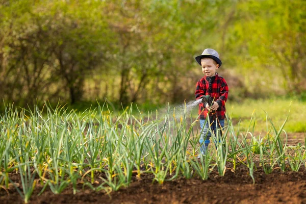 小男孩在浇灌花园 — 图库照片
