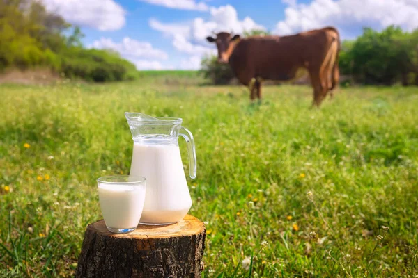 Milch mit Kuh im Hintergrund — Stockfoto