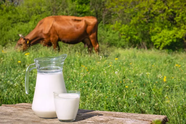 Milch mit Kuh im Hintergrund — Stockfoto