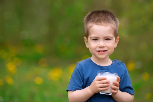 Little boy drinking milk Royalty Free Stock Photos