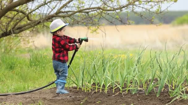 Kleiner Junge gießt Garten — Stockvideo