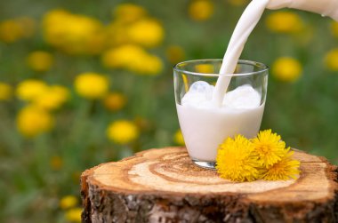 Süt bardağa dökülüyor.