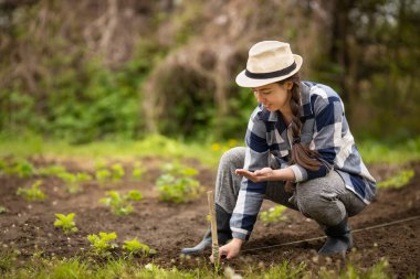 çiftçi tohum ekiyor