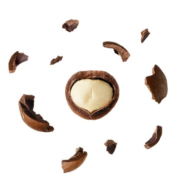 Ezilmiş Macadamia fıstığı.