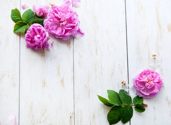 Yuvarlak kare pembe güller, yeşil yapılmış bırakır, beyaz arka plan dallarda. Düz yatıyordu, en iyi görünümü.