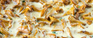 Arka plan beyaz sos haşlanmış Cantharellus cibarius mantar