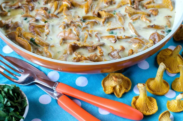 Cantharellus cibarius mantar beyaz sos tava Sote