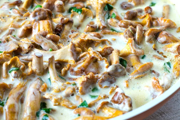 Arka plan beyaz sos haşlanmış Cantharellus cibarius mantar