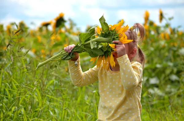 一个小女孩，一朵花的向日葵 — 图库照片