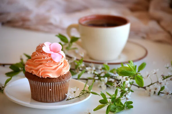 Cap-cake on a plate and cherry blossoms branch — Stock Photo, Image