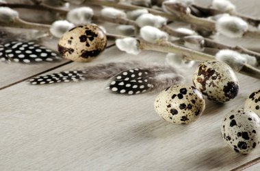 Paskalya kompozisyon - bıldırcın yumurtası ve çiçek açan söğüt