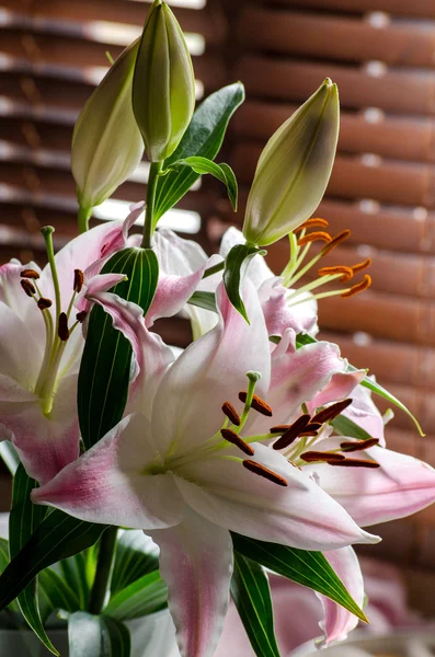 A bouquet of lilies — Stock Photo, Image