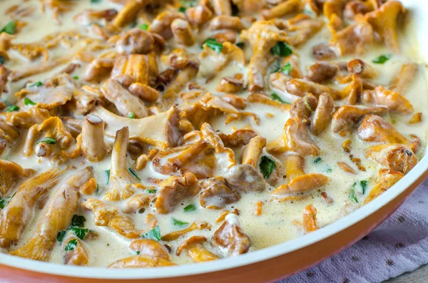 Arka plan beyaz sos haşlanmış Cantharellus cibarius mantar