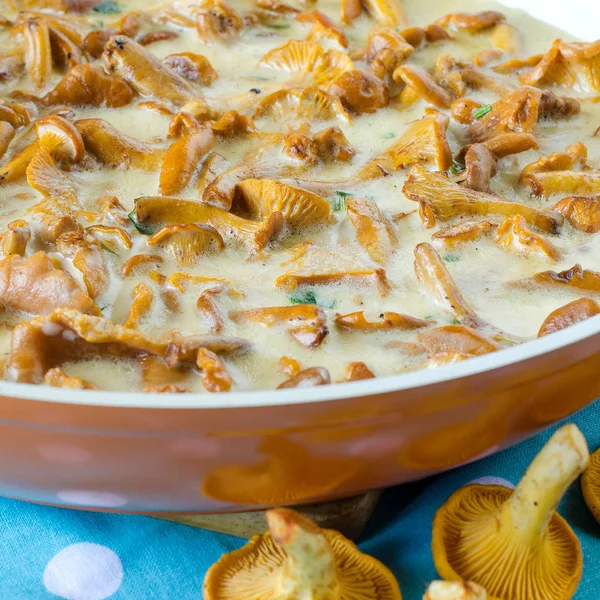 Chanterelle mushrooms pan-sauteed in white sauce — Stock Photo, Image