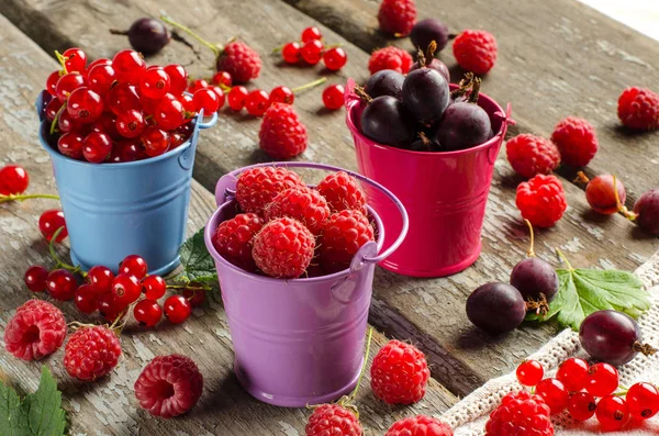 Mevsimlik olgun meyveleri. Hasat. Kırmızı kuş üzümü, ahududu ve git