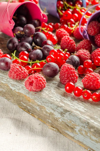 Seasonal ripe berries. Harvest. Red currants, raspberries and go