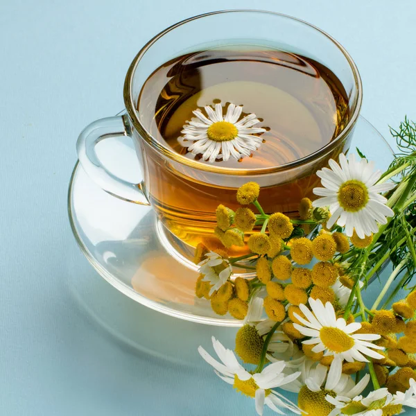 Ένα φλιτζάνι τσάι από βότανα. Εναλλακτική ιατρική. — Φωτογραφία Αρχείου