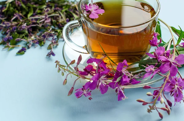 Τσάι που γίνεται από fireweed. Τσάι από βότανα. Φαρμακευτικά φυτά. — Φωτογραφία Αρχείου
