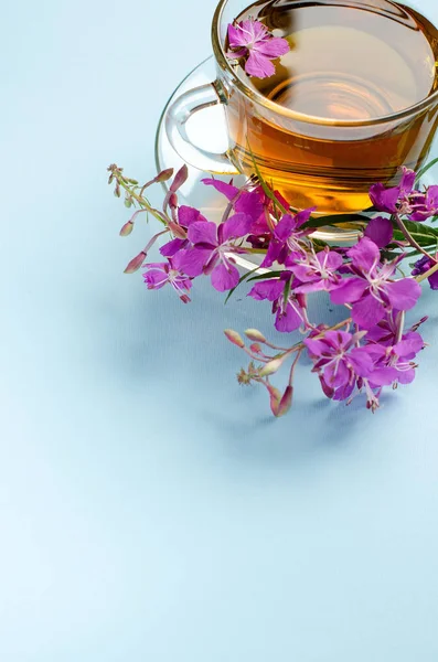 Bitkisel çay. Fireweed. Alternatif Tıp.