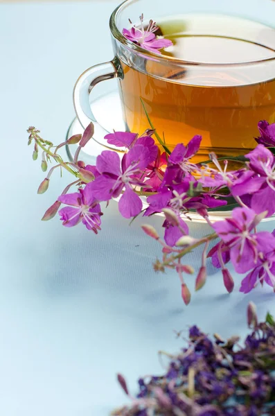 A tea készült fireweed. A gyógynövény tea. Gyógynövények. — Stock Fotó