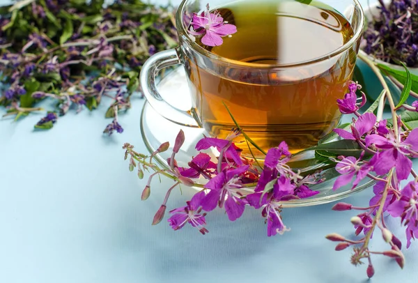 茶由杂草丛生。凉茶。药用植物. — 图库照片