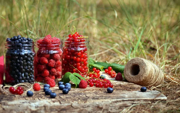 Ahududu, kuş üzümü ve yaban mersini bankalarda ve üzerinde dağınık 