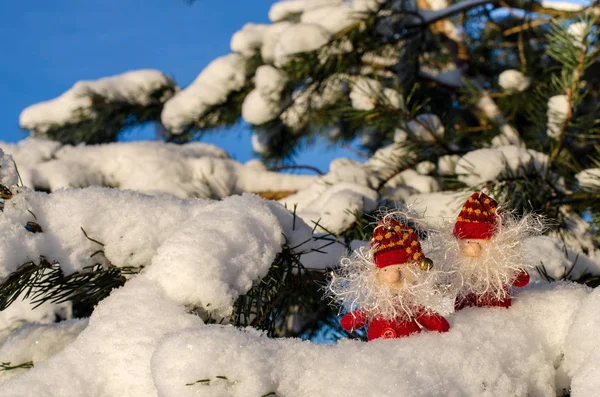 Tarjeta divertida de Navidad con gnomos — Foto de Stock