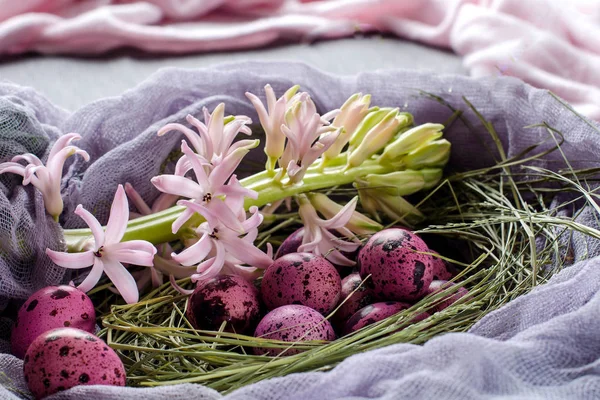 巣とヒヤシンスの花のイースターエッグ — ストック写真