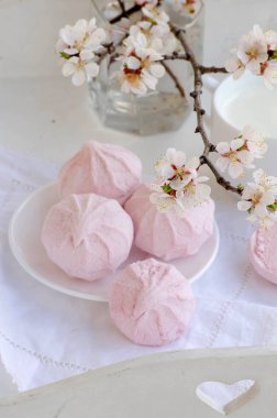 Arka plan ile kayısı ve pembe hatmi Şubesi çiçeklenme