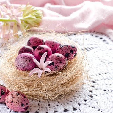 Bir pembe veya beyaz bir yuvadaki yumurta