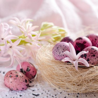 Bir pembe veya beyaz bir yuvadaki yumurta