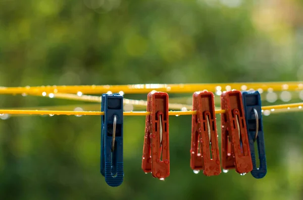 Mollette sulla clothesline — Foto Stock