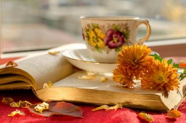 Kitap ile güzel arka plan