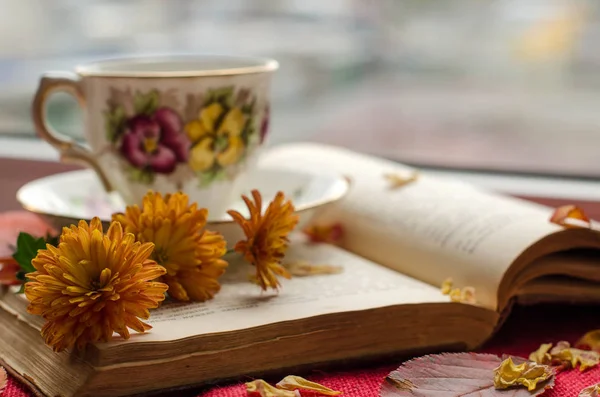 Schöner Hintergrund mit dem Buch — Stockfoto