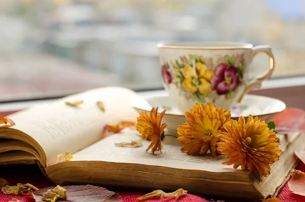 Beautiful background with the book — Stock Photo, Image