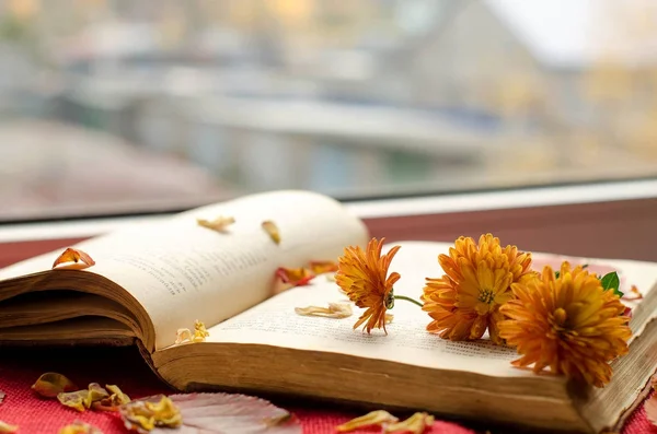 Kitap ile güzel arka plan