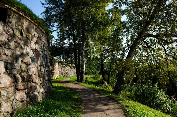 Стіна старовинної фортеці — стокове фото